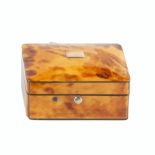 A 19TH CENTURY TORTOISESHELL VENEERED RECTANGULAR SMALL BOX, the interior fitted with a small