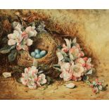 AGNES HOLDING Still life, a nest of eggs with apple blossom, Dieppe, signed, watercolour, 22 x 26.