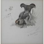 ARCHIBALD THORBURN (1860-1935) 'Blackgame', signed, pencil and watercolour, 9.5 x 9.5cm With Holland