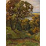 19TH CENTURY ENGLISH SCHOOL View from a wooded hillside looking towards a lake, oil on board, 30.5 x