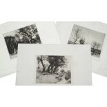 EDWARD MILLINGTON SYNGE (1860-1913) 'Olive Trees near Tourretteo?', etching, 20 x 25cm; and two