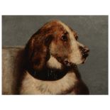 T.T. HEWENSTI AFTER SIR EDWIN LANDSEER Portrait of a dog's head, inscribed and dated 1838, oil on