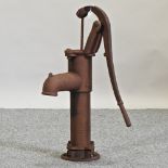 A cast iron garden pump,