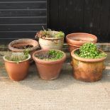 A collection of terracotta garden pots,