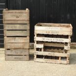 A collection of fruit trays,