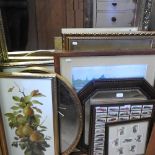 A collection of various pictures and mirrors,