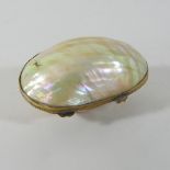 A gilt metal mounted shell snuff box,