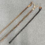 A collection of three walking sticks