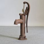 A cast iron garden water pump,