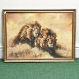 G E Lodge, 20th century, lions, signed, oil on board,