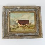 English school, 20th century, prize bull in a landscape, oil on board,