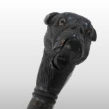 An early 20th century novelty walking stick, the handle in the form of a bulldog,
