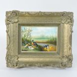 Dave Hart *ARR, (20th century), ducks, signed, oil on board,