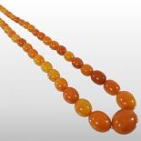A butterscotch amber bead necklace, with a single row of graduated beads,