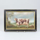 English School, 20th century, a bull, oil on canvas, laid on panel,