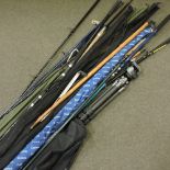 A collection of fishing rods