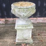 A reconstituted stone planter, on a pedestal base,