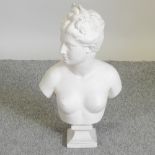 A classical style plaster portrait bust, of a young lady,