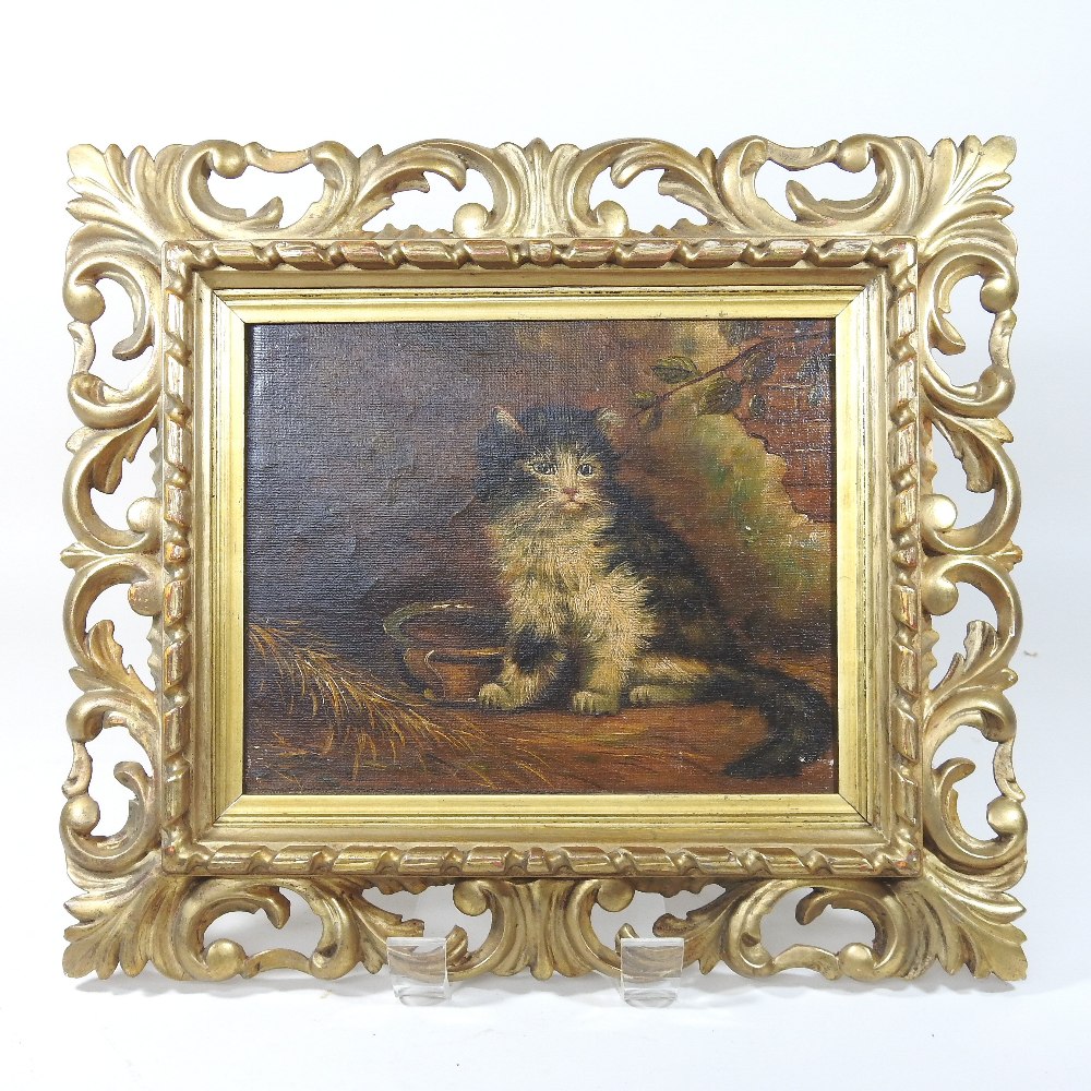 English School, (19th century), a seated cat, oil on canvas, 20 x 25cm,