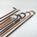 A collection of nine various antique wooden walking sticks,