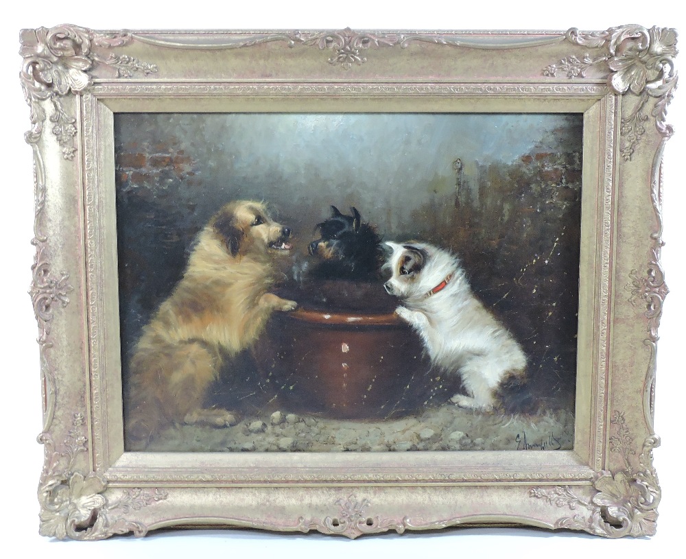 Edward Armfield, (1817-1896), terriers, oil on board, - Image 3 of 4