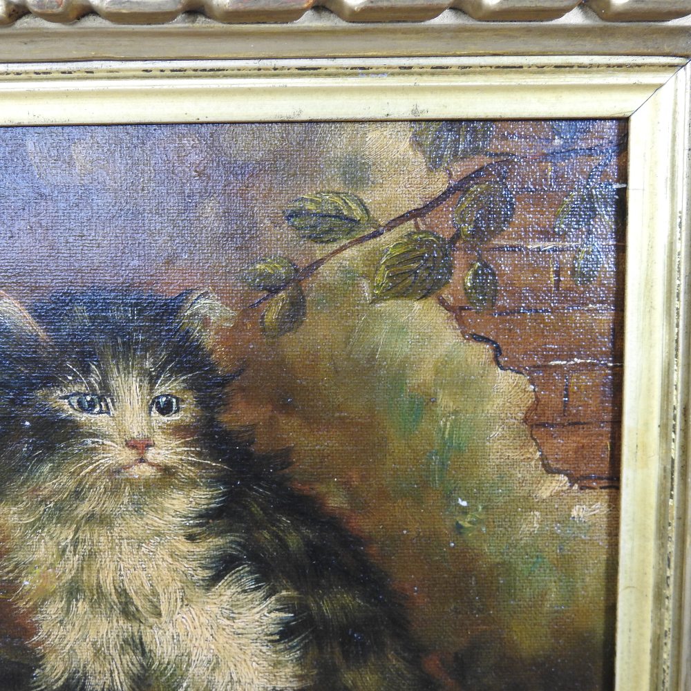 English School, (19th century), a seated cat, oil on canvas, 20 x 25cm, - Image 7 of 7