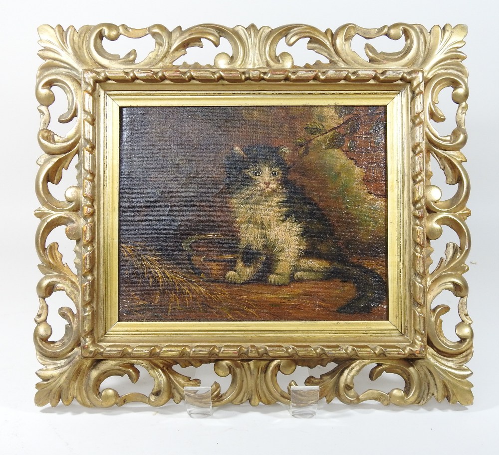 English School, (19th century), a seated cat, oil on canvas, 20 x 25cm, - Image 3 of 7