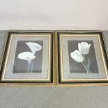 A pair of prints of flowers,