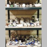 Three shelves of Cornish motto ware