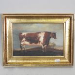 J Box, 20th century, a bull in a landscape, oil on canvas laid on panel,