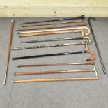 A collection of various 19th century and later walking sticks (13)