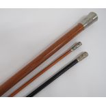 Two Scottish Swagger Sticks and a Sergeant's Cane