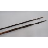 Two 19th Century Native Spears