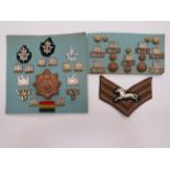 Good Selection of 5th Dragoon Guards Badges