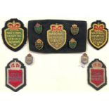 National Hospital Reserve & Civil Nursing Reserve Badges.