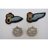 Pair of Pre 1953 Glider Pilot Regiment Collar Badges