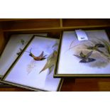 A collection of eight bird prints (8)