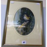 T. M. Robilliard (Guernsey, 20th century), A study of a wren perched on a lichen covered branch,