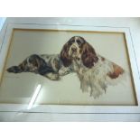 A framed Vernon Stokes print of two springer spaniels 15.7cm x 25.2cm.