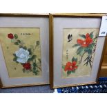 A pair of framed Oriental botanical watercolours.,