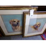 Claire Verity (British, 20th century), Three portraits of Labrador dogs , pastel, signed, one