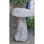 A Guernsey granite mushroom of typical form.
