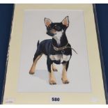 A watercolour depicting a chihuahua, 34cm x 22cm.