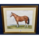 Margaret Broad (British, 20th century) Horse (Claudius Flavius), watercolour, signed, lower right,