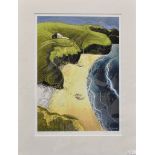 Chris Neale - signed ltd. edition print, 129/500, 'Druidston Haven'