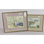 A framed watercolour of Blue Bell Wood - Guernsey interest By E. Banks, signed and dated lower right