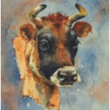 Kathy Rondel (Jersey, b.1948) A Jersey Cow watercolour, signed with initials lower centre, wooden