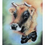 Kathy Rondel (Jersey, b.1948) "Dressed for Dinner", a Jersey Cow in a Bow Tie pastel, signed lower