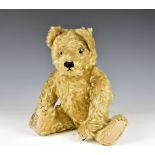 An Alpha Farnell golden mohair teddy bear c. 1930's, clear glass eyes, five stitched claws, pale