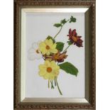 A Victorian botanical glass painting the Dahlias painted in colours on a white glass plate, 13½ x
